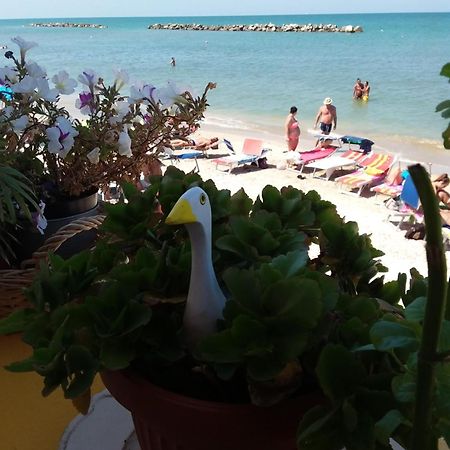 Acquamarina B&B Casa Vacanze Marina di Montemarciano Exterior foto