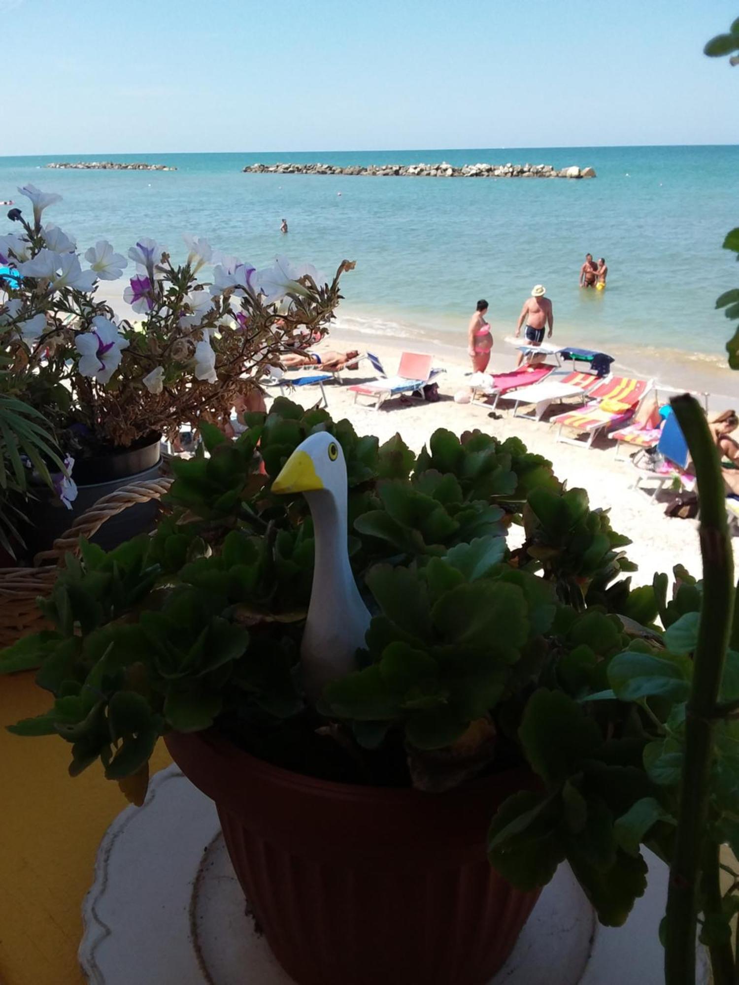 Acquamarina B&B Casa Vacanze Marina di Montemarciano Exterior foto