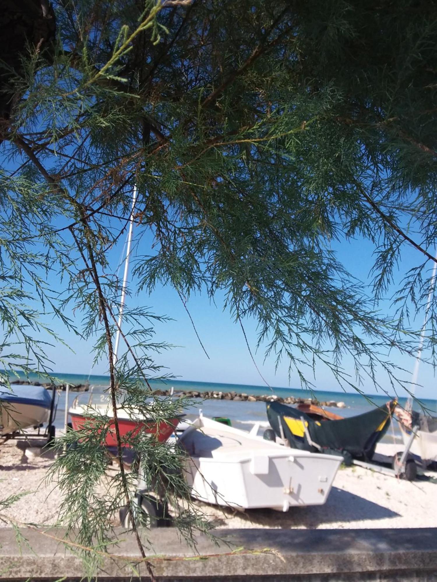 Acquamarina B&B Casa Vacanze Marina di Montemarciano Exterior foto